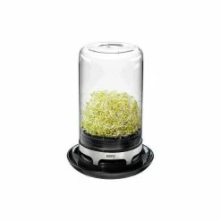 Gefu Sprossenglas Bivita