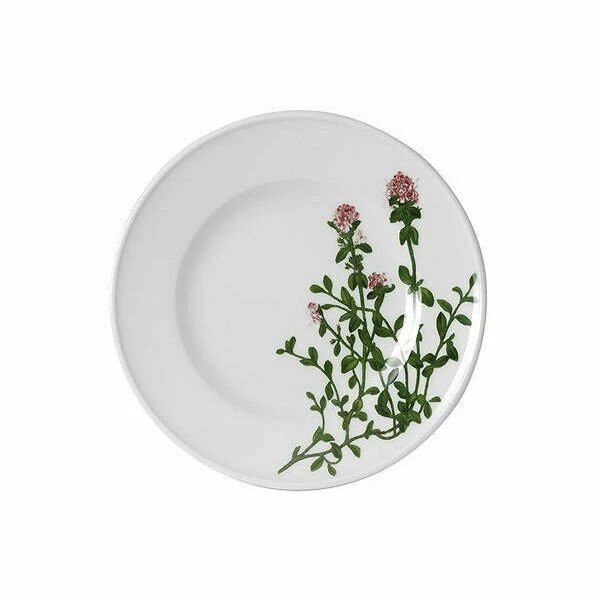 Dibbern Speiseteller 26 Cm Herbaticum Thymian 3 Dibbern Speiseteller 26 Cm Herbaticum Thymian