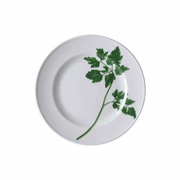 Dibbern Speiseteller 26 Cm Herbaticum Petersilie 3 Dibbern Speiseteller 26 Cm Herbaticum Petersilie